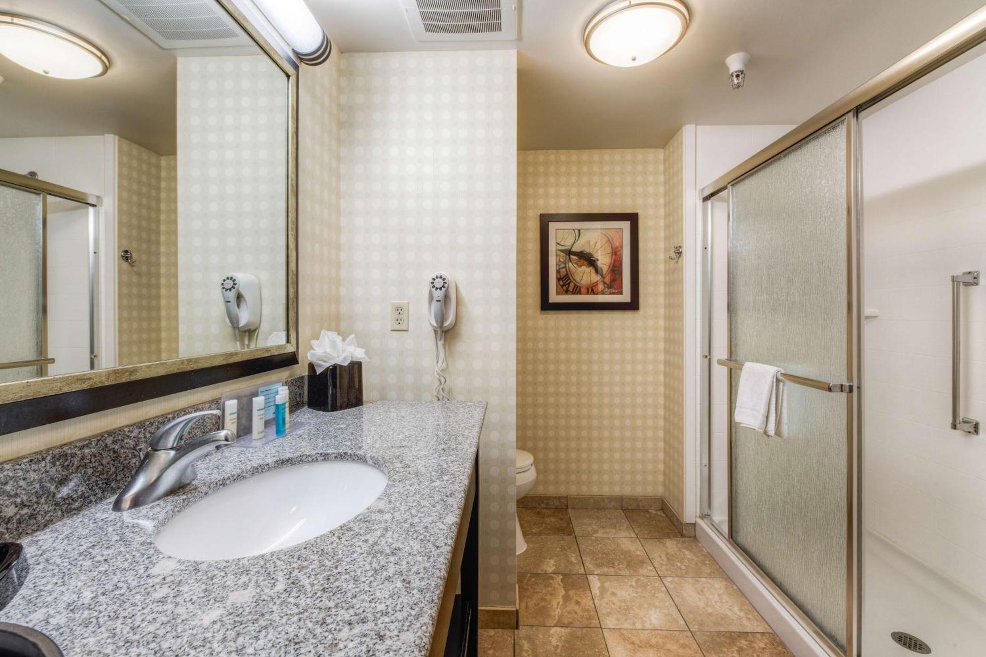 Hampton Inn&Suites Detroit/Airport Romulus Buitenkant foto