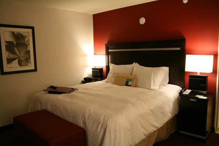 Hampton Inn&Suites Detroit/Airport Romulus Kamer foto